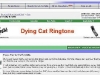 googleads_fail_deadcat.jpg