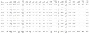 Auszug aus dem Garmin Connect Running Report